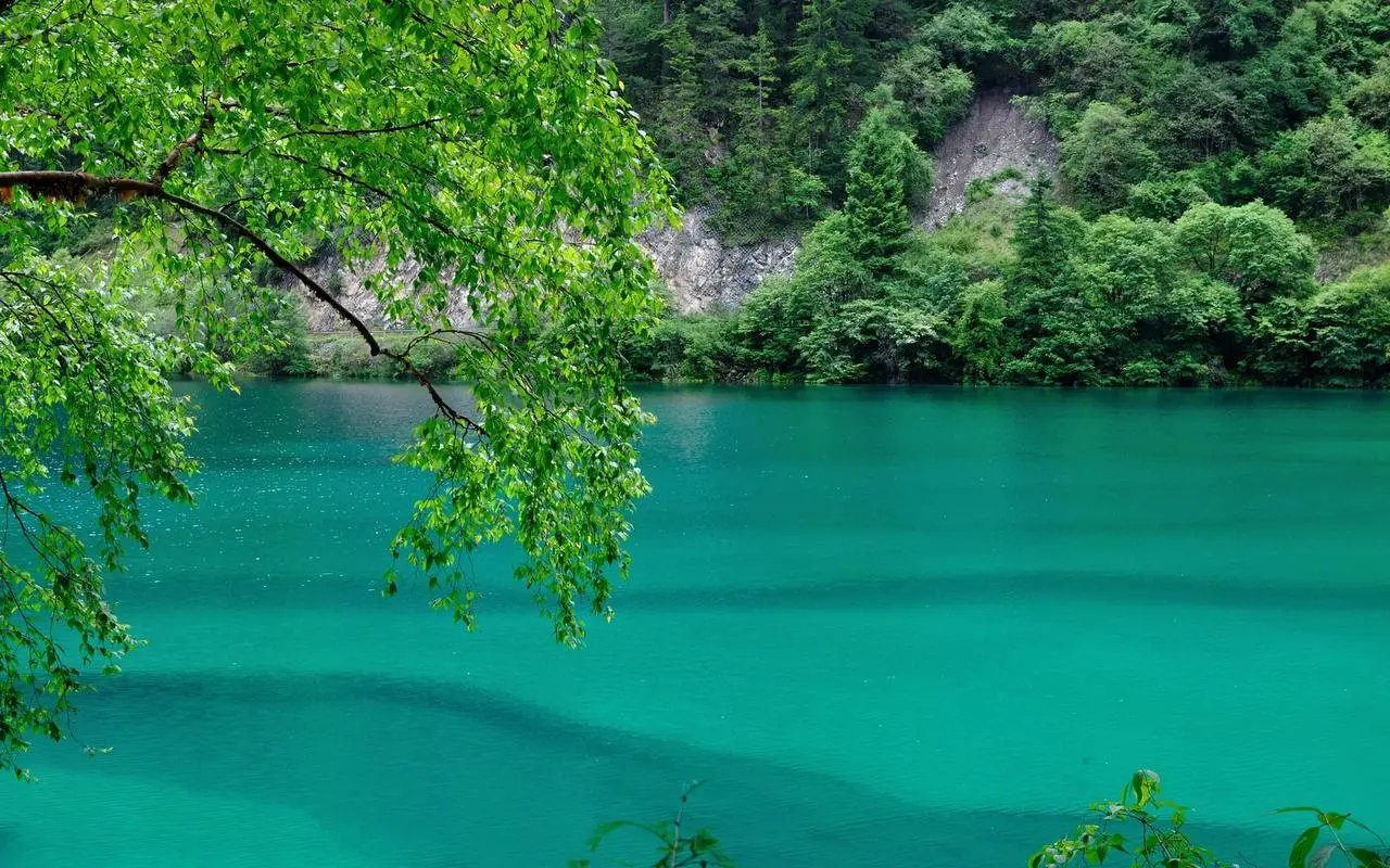 高性能高精度高标准